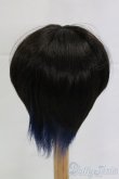 画像2: 8-9inch/ウィッグ I-26-02-15-086-KD-ZI (2)