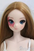 画像1: Smart Doll/ヴィリアント I-26-02-08-260-KD-ZI (1)