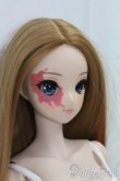 画像3: Smart Doll/ヴィリアント I-26-02-08-260-KD-ZI (3)