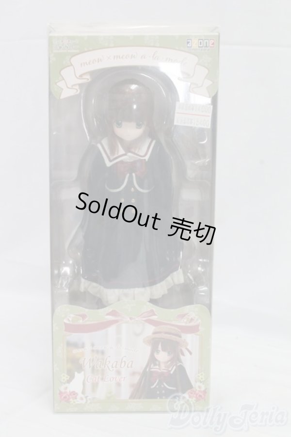 画像4: えっくす☆きゅーとふぁみりー/WAKABA(わかば)〜meow×meow a・la・mode〜Cat lover I-26-02-08-253-KD-ZI (4)