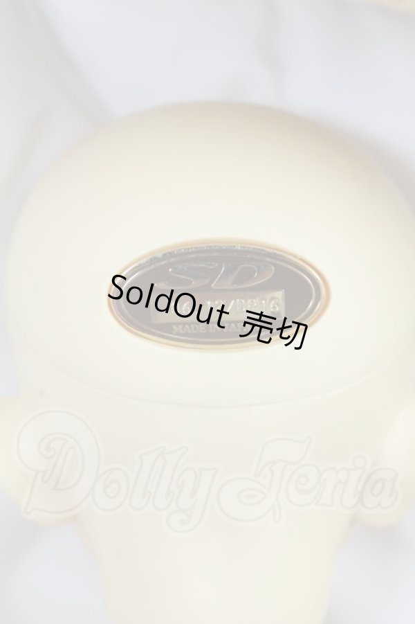 画像8: SD13男の子/ウィリアムズ I-26-02-15-143-KD-ZI (8)