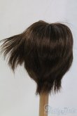 画像2: 9-10inch/ウィッグ I-26-02-15-080-KD-ZI (2)