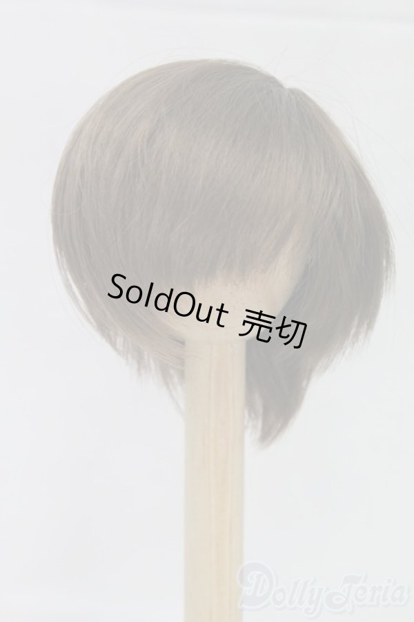 画像1: 7-8inch/ウィッグ I-26-02-15-089-KD-ZI (1)