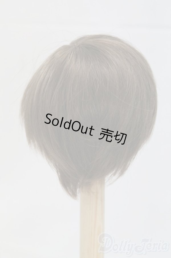 画像2: 7-8inch/ウィッグ I-26-02-15-089-KD-ZI (2)