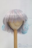 画像1: 9-10inch/ウィッグ I-26-02-15-083-KD-ZI (1)