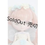 画像: ミディブライス/ピクシーピースフル I-26-02-15-131-KD-ZI