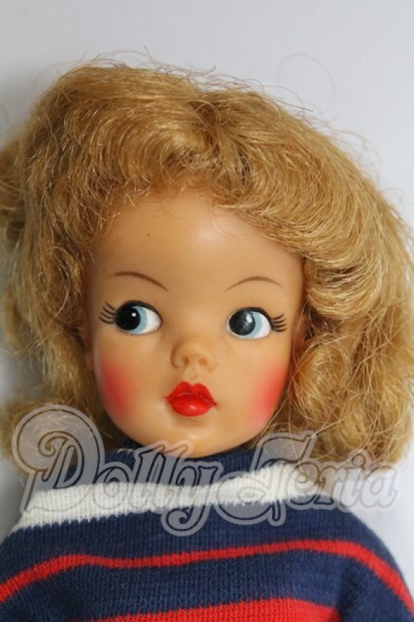 画像1: タミーちゃん/本体(BS-12) I-26-02-15-112-KD-ZI (1)