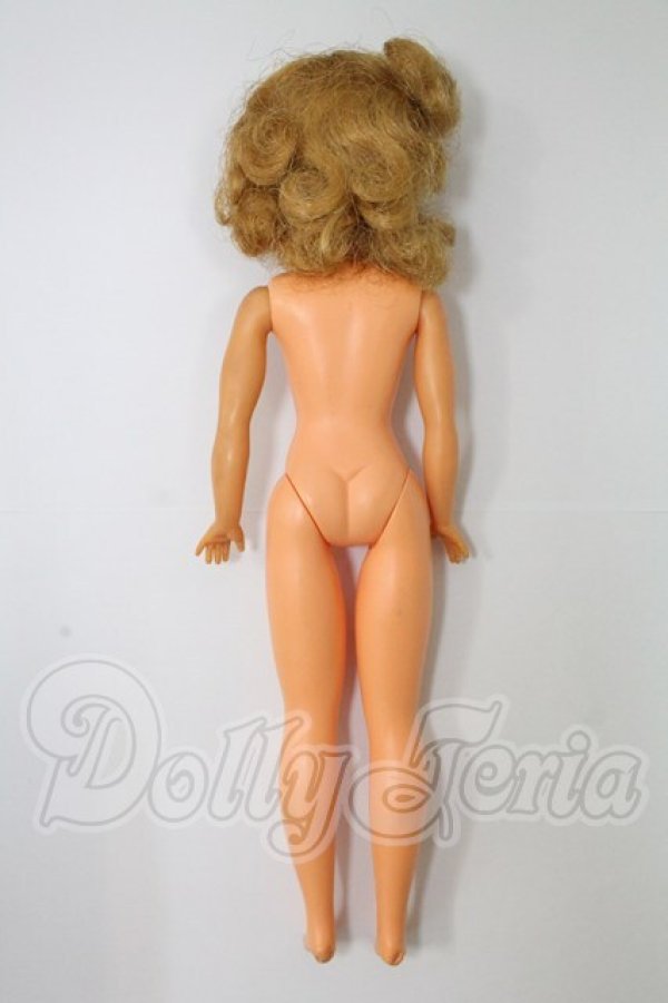 画像7: タミーちゃん/本体(BS-12) I-26-02-15-112-KD-ZI (7)