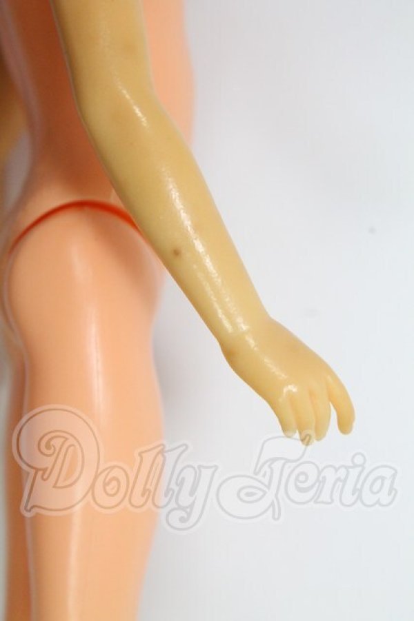 画像8: タミーちゃん/ペッパーちゃん I-26-02-15-113-KD-ZI (8)