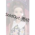 画像: バービー/ファッショニスタ I-26-08-13-501-KD-ZI
