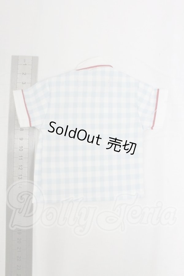 画像2: SDM＆MSD/OF:トップス：:MELODY.C様製 I-26-02-15-286-KD-ZI (2)