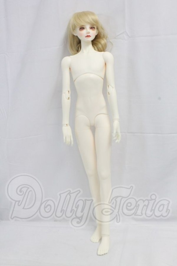 画像5: LUTS/Senior65 Delf CARMINE I-26-03-01-003-KD-ZI (5)