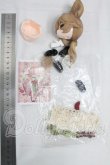 画像2: 不可食用人形 Inedible Doll/月飛び時間シリーズ梧秋 I-26-02-22-062-KD-ZI (2)