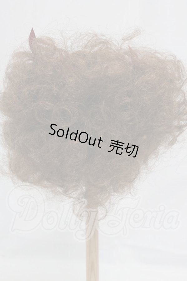 画像2: 9-10inch/ウィッグ I-26-02-22-097-KD-ZI (2)