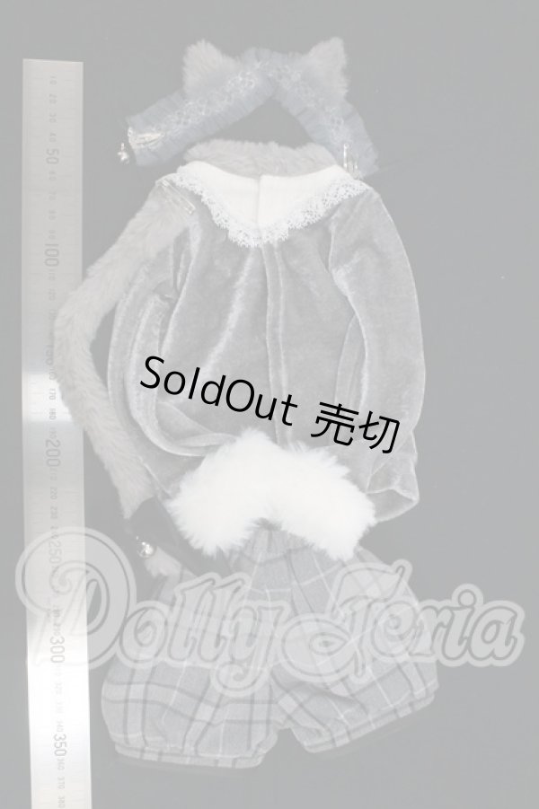 画像2: SD/OF:ふんわりねこちゃんセット:VOLKS製 I-26-02-22-128-KD-ZI (2)