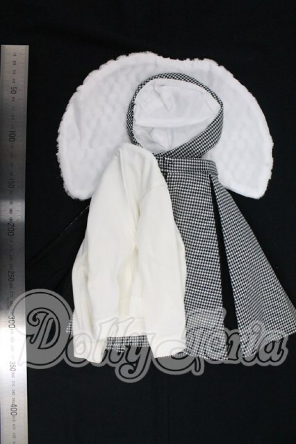 画像2: DD/OF:衣装セット I-26-02-22-122-KD-ZI (2)