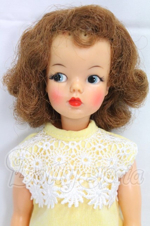 画像1: タミーちゃん/本体(BS-12) I-26-02-22-213-KD-ZI (1)