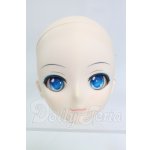 画像: DD/雪ミクヘッド I-26-03-01-013-KD-ZI