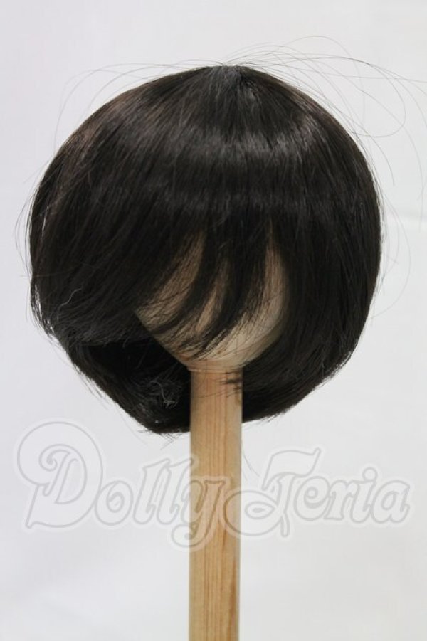 画像1: 8-9inch/ウィッグ I-26-03-01-325-KD-ZI (1)
