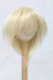 画像1: 9-10inch/ウィッグ I-26-03-01-324-KD-ZI (1)