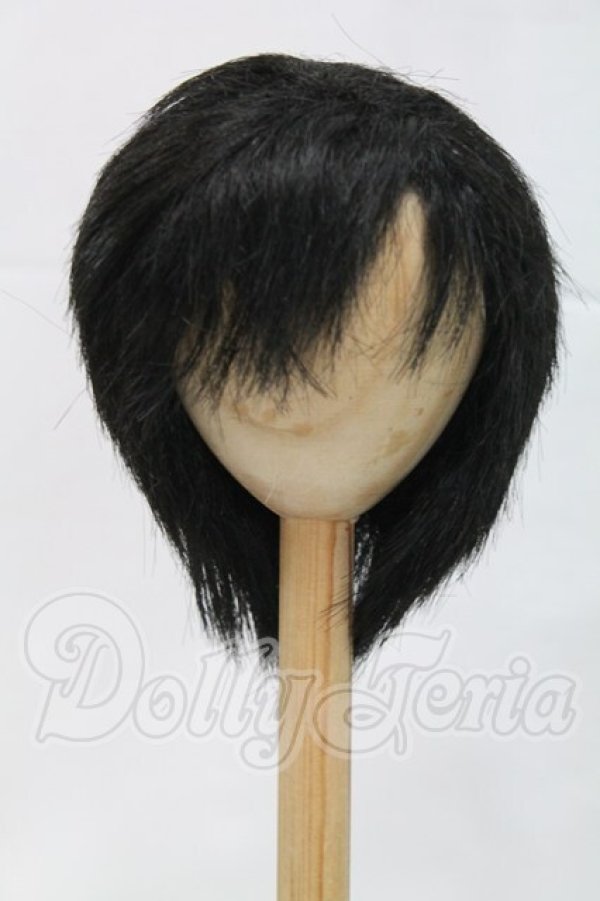 画像1: 9-10inch/ウィッグ I-26-03-01-326-KD-ZI (1)