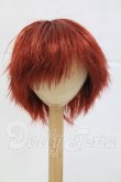 画像1: 9-10inch/ウィッグ I-26-03-01-323-KD-ZI (1)
