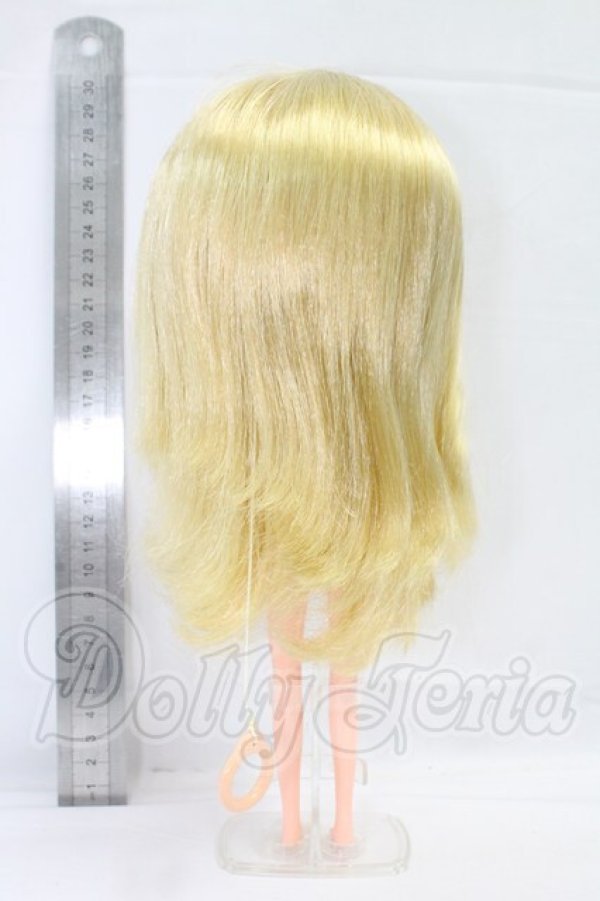 画像6: ネオブライス/モンドリアン（ツヤ肌）本体 I-26-03-08-027-KD-ZI (6)