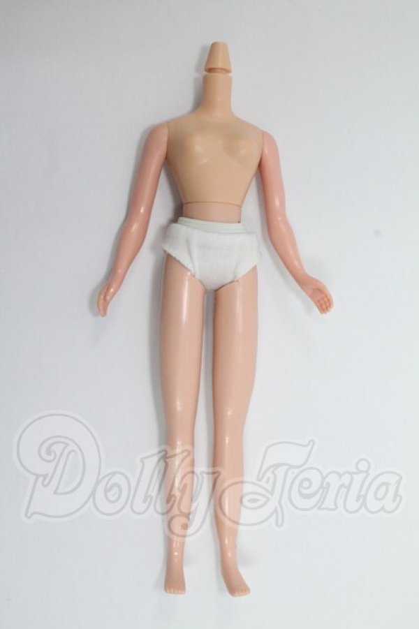 画像1: ネオブライス/ボディのみ I-26-03-01-222-KD-ZI (1)