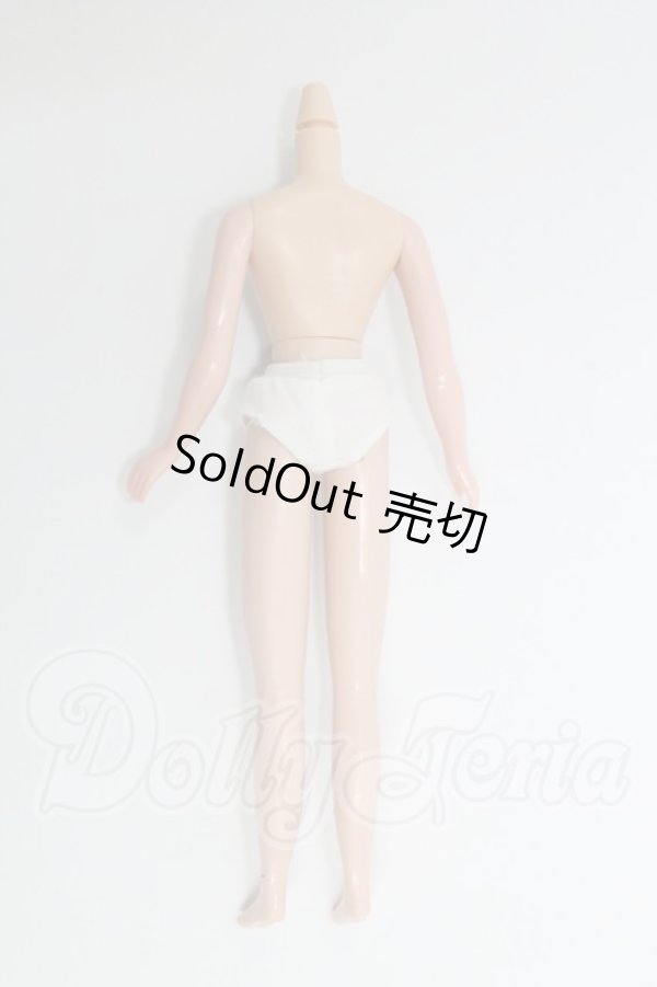 画像2: ネオブライス/ボディのみ I-26-03-01-222-KD-ZI (2)