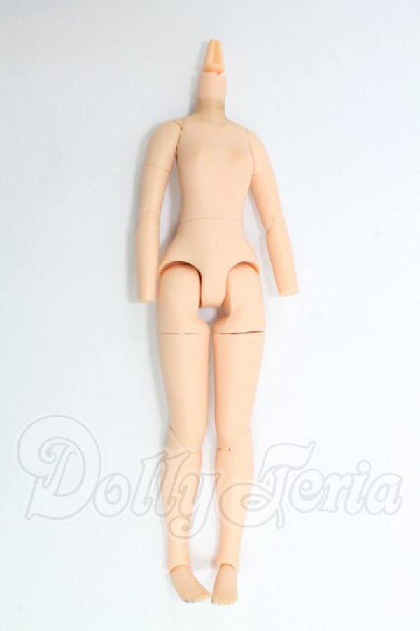 画像1: ピュアニーモボディ I-26-03-01-221-KD-ZI (1)