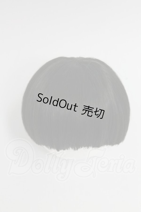 画像2: ウィッグ/5-6inch I-26-03-01-201-KD-ZI (2)