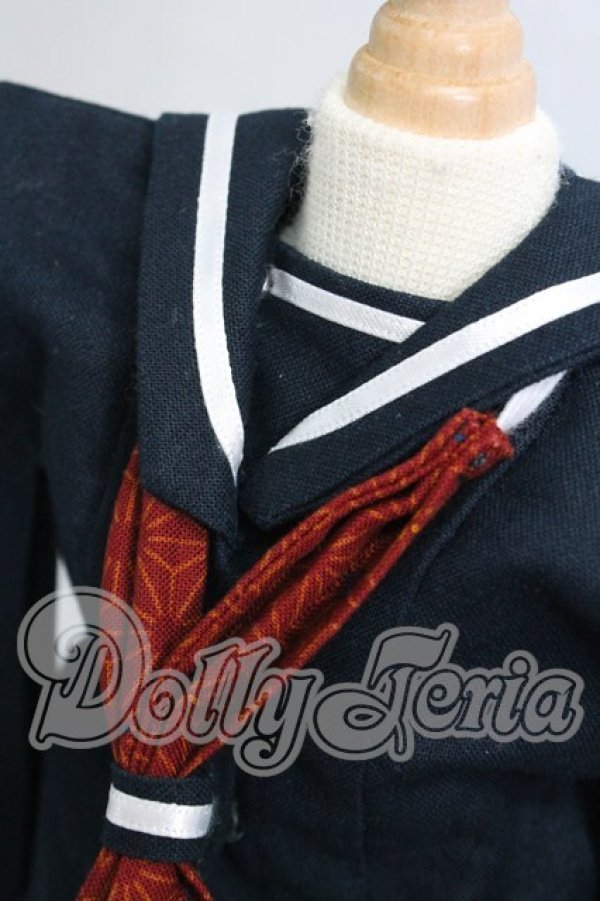 画像2: MDD/OF:衣装セット I-26-03-15-248-KD-ZI (2)