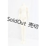 画像: SDGrBOY/ボディ I-26-03-08-302-KD-ZI