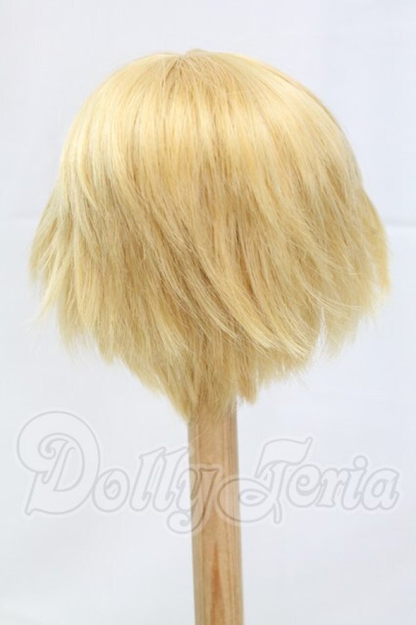 画像2: 8-9inch/ウィッグ I-26-03-15-121-KD-ZI (2)