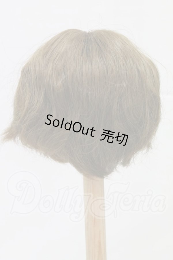 画像2: 8-9inch/ウィッグ I-26-03-15-123-KD-ZI (2)