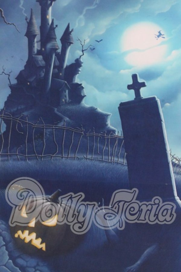 画像1: 背景布 I-26-03-15-203-KD-ZI (1)