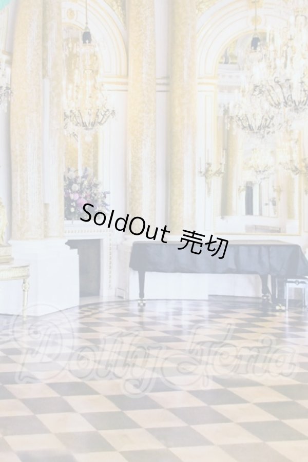 画像1: 背景布 I-26-03-15-204-KD-ZI (1)