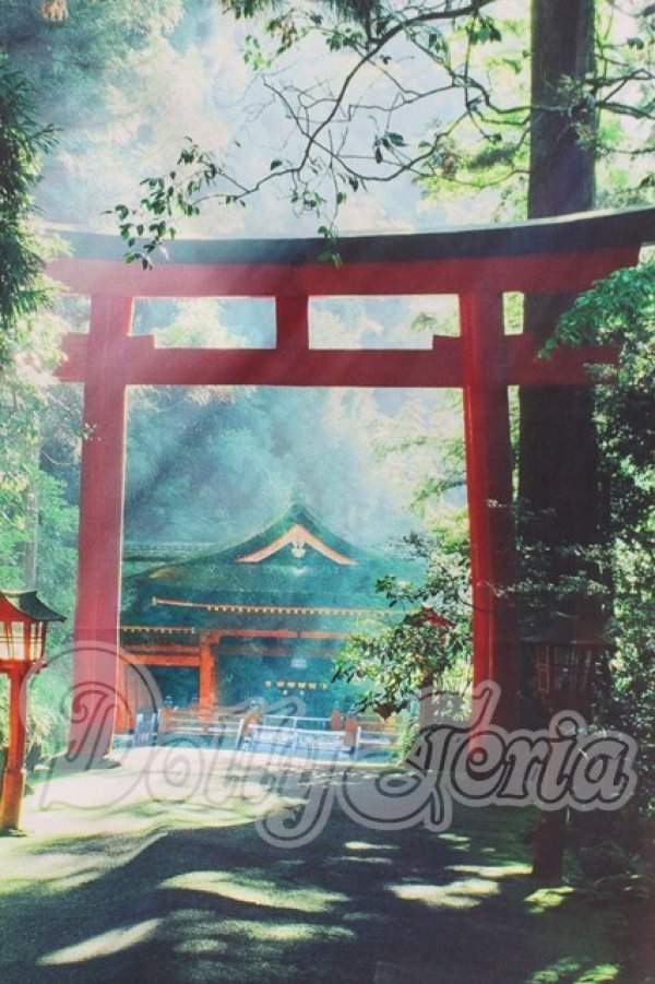 画像1: 背景布 I-26-03-15-206-KD-ZI (1)