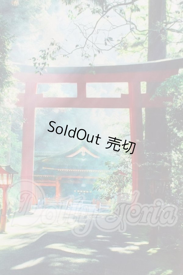 画像1: 背景布 I-26-03-15-206-KD-ZI (1)