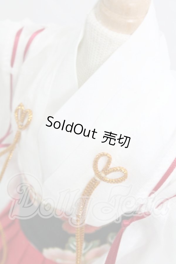 画像4: SDM＆MSD/OF:衣装セット I-26-03-15-231-KD-ZI (4)