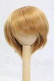 画像1: 7-8inch/ウィッグ I-26-03-15-170-KD-ZI (1)