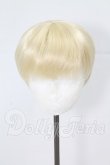 画像1: 9-10inch/ウィッグ I-26-03-22-005-KD-ZI (1)