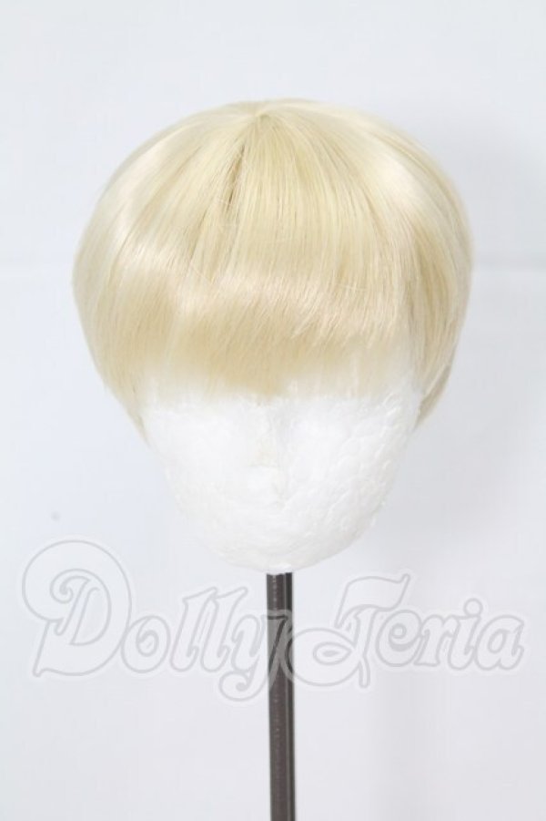 画像1: 9-10inch/ウィッグ I-26-03-22-005-KD-ZI (1)