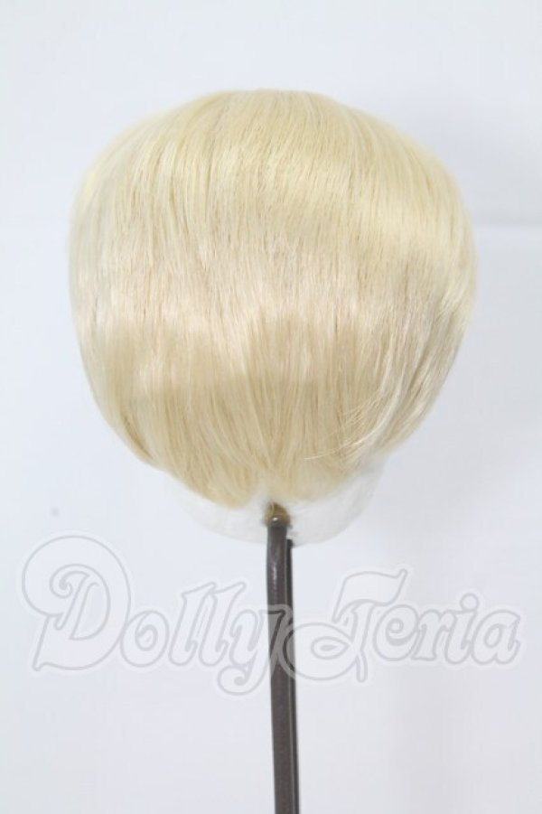 画像2: 9-10inch/ウィッグ I-26-03-22-005-KD-ZI (2)