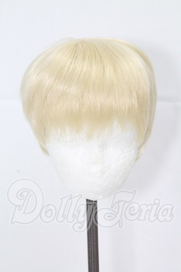 画像1: 9-10inch/ウィッグ I-26-03-22-006-KD-ZI (1)