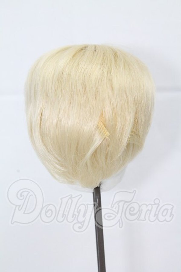 画像2: 9-10inch/ウィッグ I-26-03-22-006-KD-ZI (2)