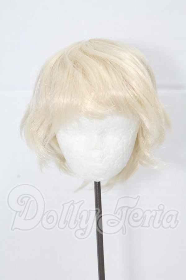 画像1: 8-9inch/ウィッグ I-26-03-22-009-KD-ZI (1)