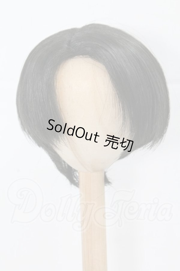 画像1: 8-9inch/ウィッグ I-26-03-15-354-KD-ZI (1)