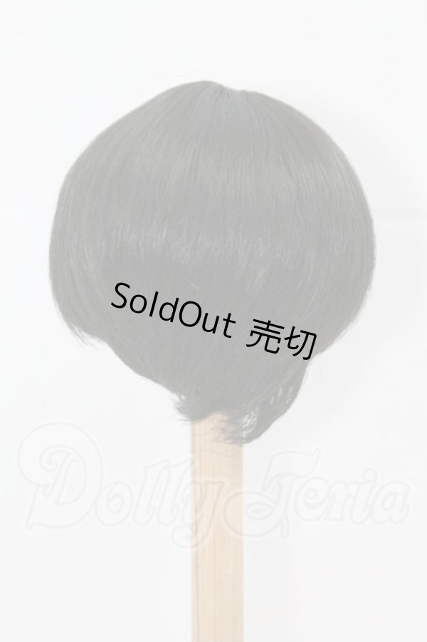 画像2: 8-9inch/ウィッグ I-26-03-15-354-KD-ZI (2)