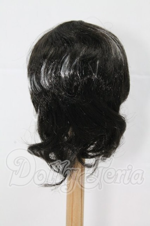 画像2: 8-9inch/ウィッグ I-26-03-15-355-KD-ZI (2)